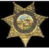 IMPERIAL CO, CA DEPUTY SHERIFF BADGE PIN